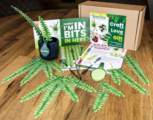 The Boston Fern Papercraft Plant Kit