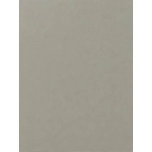 Solid light gray color card