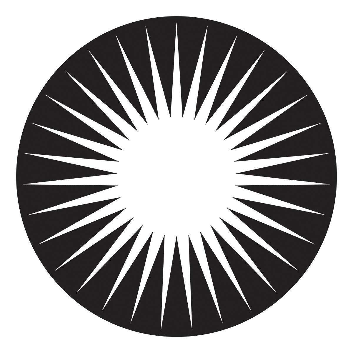 Black circle with white radial lines on a white background