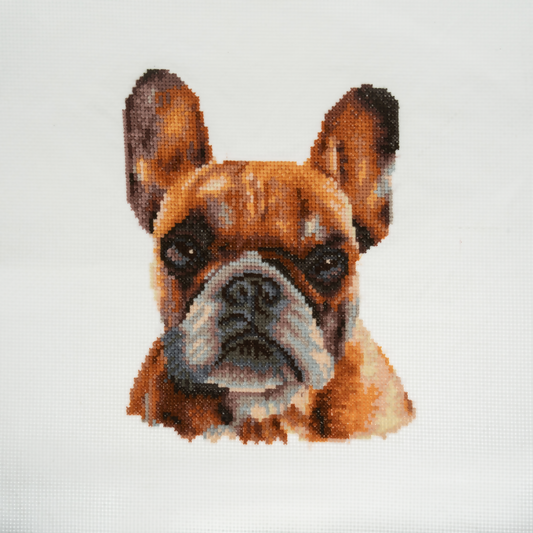 Trimits Bulldog Large Cross Stitch Kit Completed