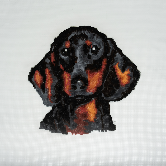 Trimits Dachshund Large Cross Stitch Kit Completed
