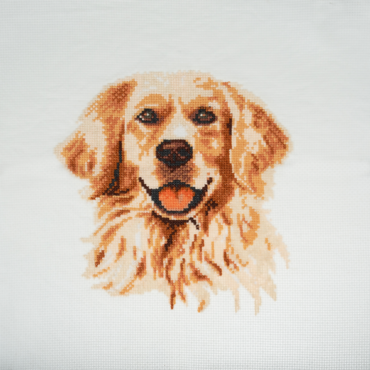 Trimits Golden Retriever Large Cross Stitch Kit Completed