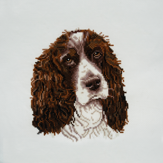 Trimits Springer Spaniel Large Cross Stitch Kit Completed