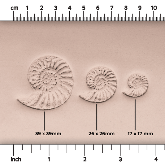 Ammonite Fossil Shell Stamp - Photo Textured - Style #1