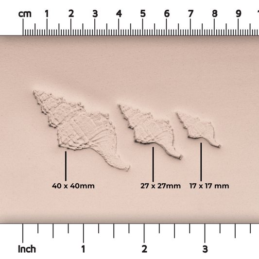 Conch Shell Stamp - Photo Textured - Style #1