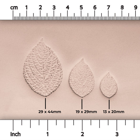 Generic Plant Leaf Stamp - Photo Textured - Style #2