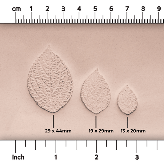 Generic Plant Leaf Stamp - Photo Textured - Style 2 - CraftSource Market: Craft Supplies & Kits Stamps
