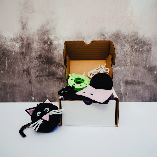 Open cardboard box with cat toys on a textured surface