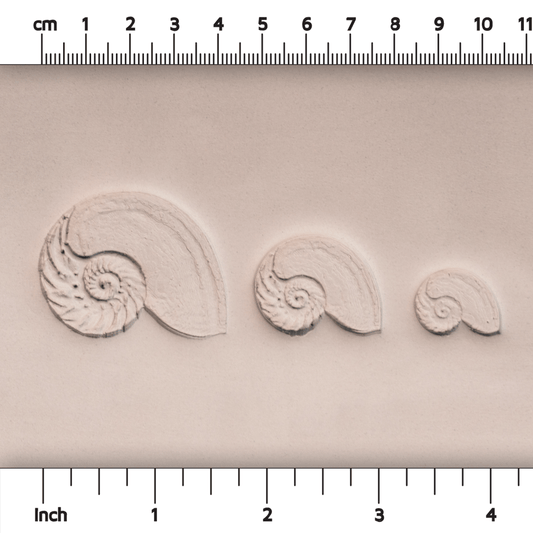 Nautilus Shell Stamp - Photo Textured - Style #1