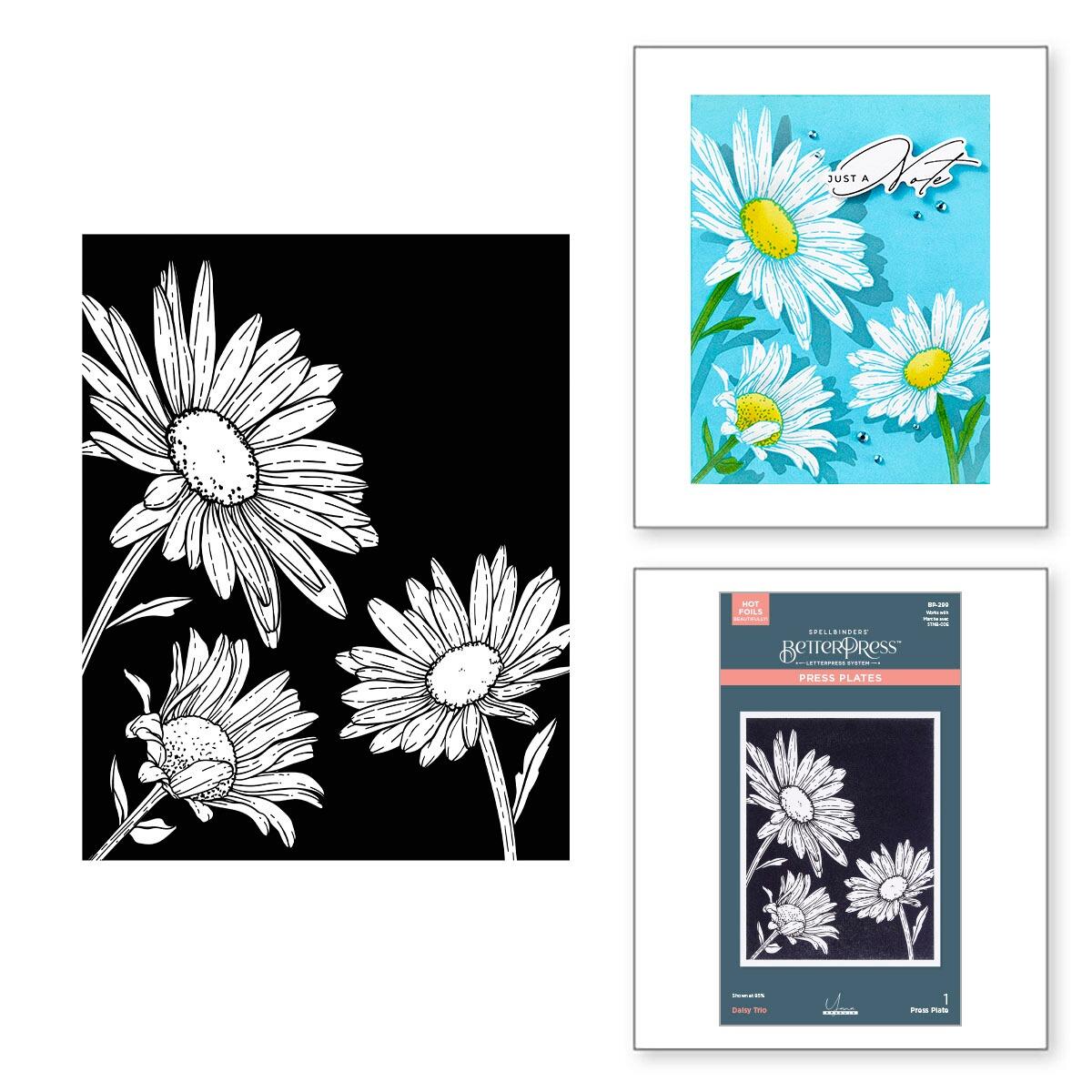 Spellbinders Daisy Trio Press Plates - CraftSource Market: Craft Supplies & Kits Spellbinders > Letterpress > Floral > Craft Press Plate