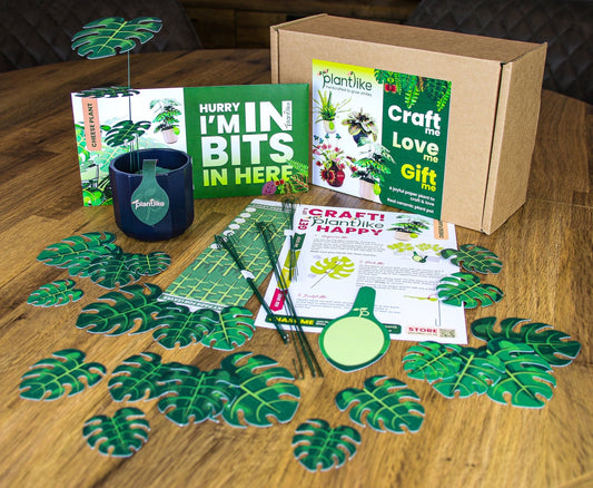 The Cheese Plant Papercraft Plant Kit - CraftSource Market: Craft Supplies & Kits