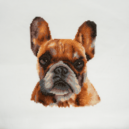 Trimits Bulldog Large Cross Stitch Kit - CraftSource Market: Craft Supplies & Kits Embroidery and Cross Stitch