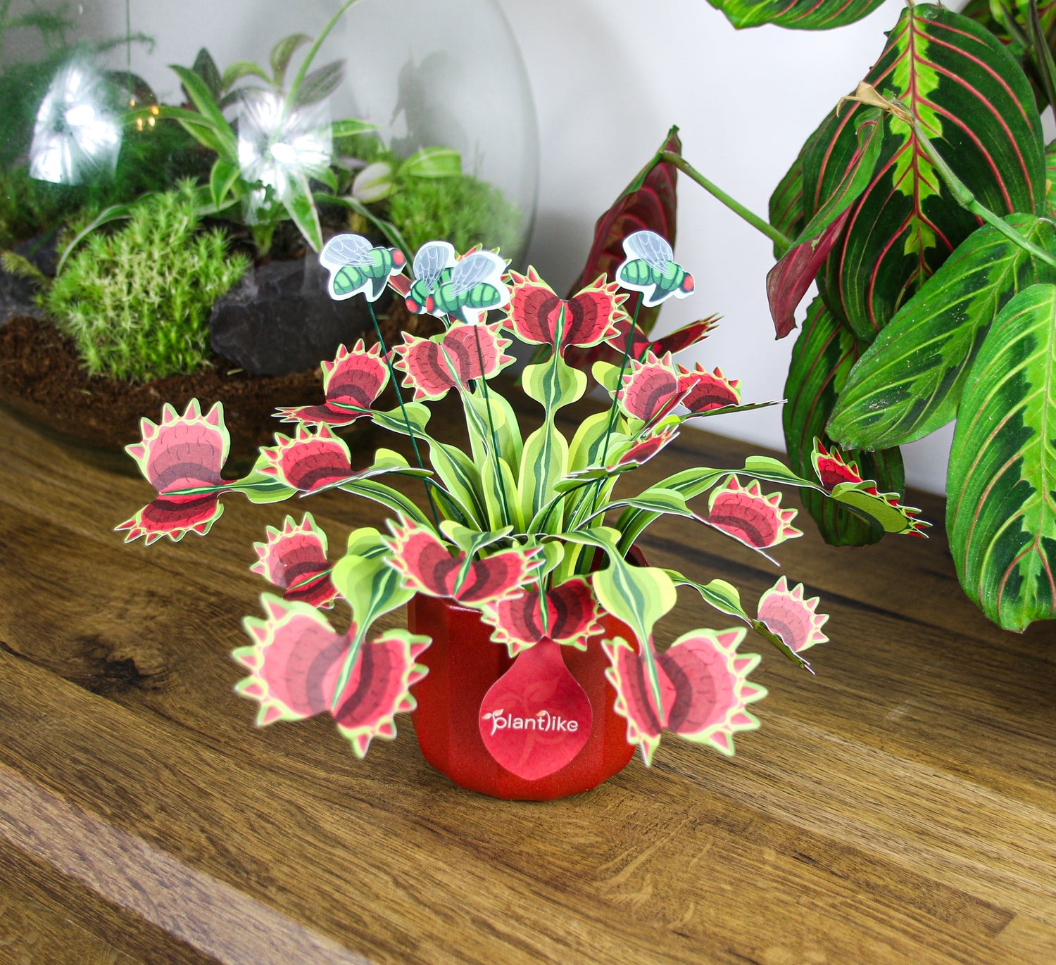 Papercraft Kits - CraftSource Market: Craft Supplies & Kits