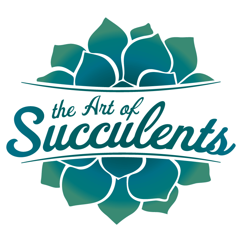 The Art Of Succulents - CraftSource Market: Craft Supplies & Kits