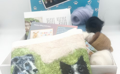 Box containing a knitted dog blanket, yarn, and craft materials on a white surface.