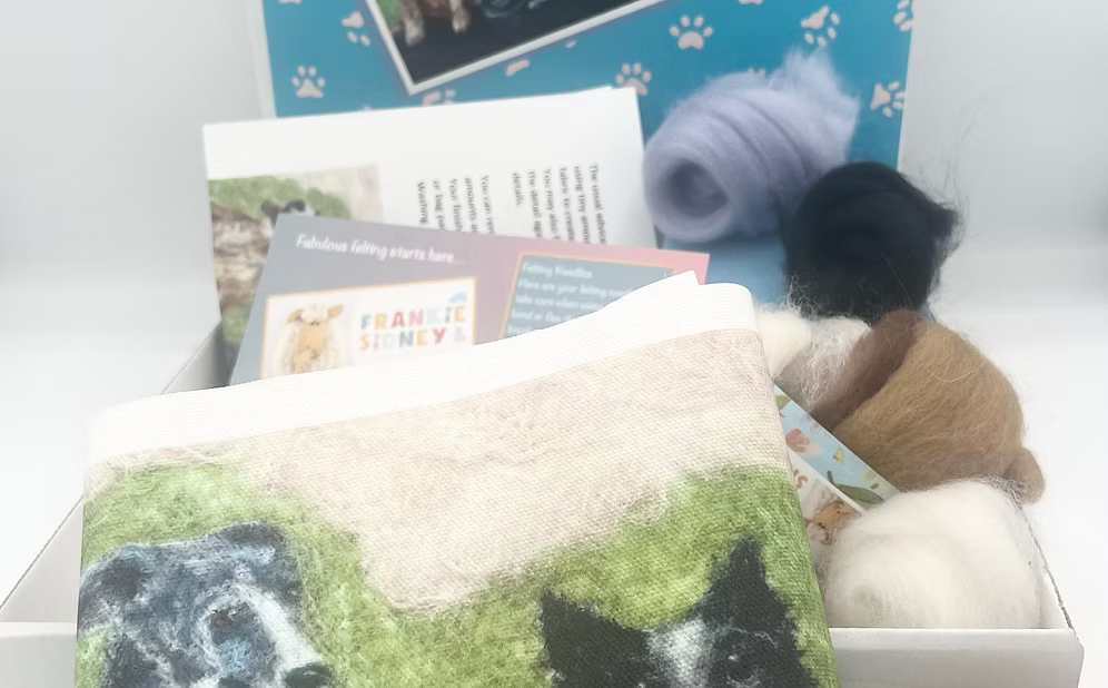 Box containing a plush dog toy, books, and other items with a paw print design on the box.