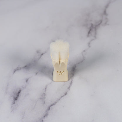 5-Petal Rounded Flower Underglaze Sponge Stamps