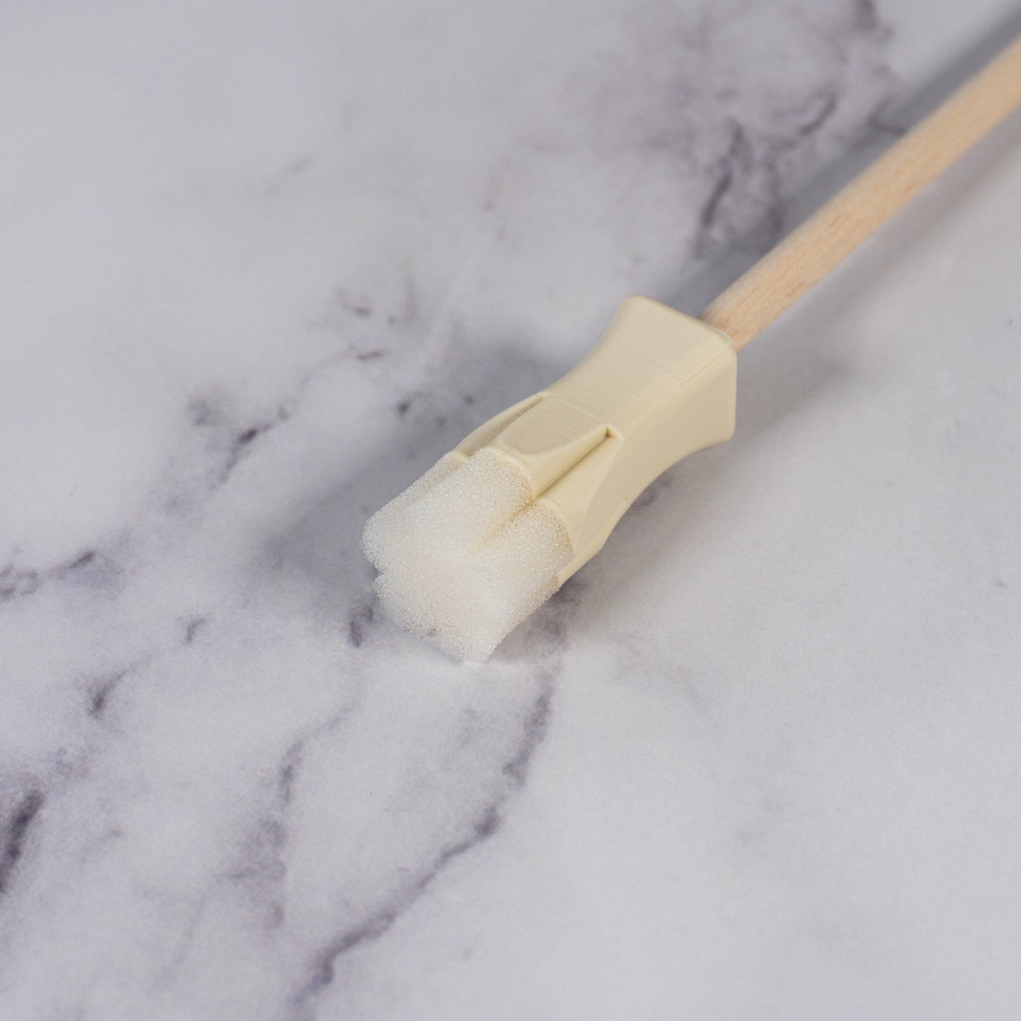 5-Petal Rounded Flower Underglaze Sponge Stamps