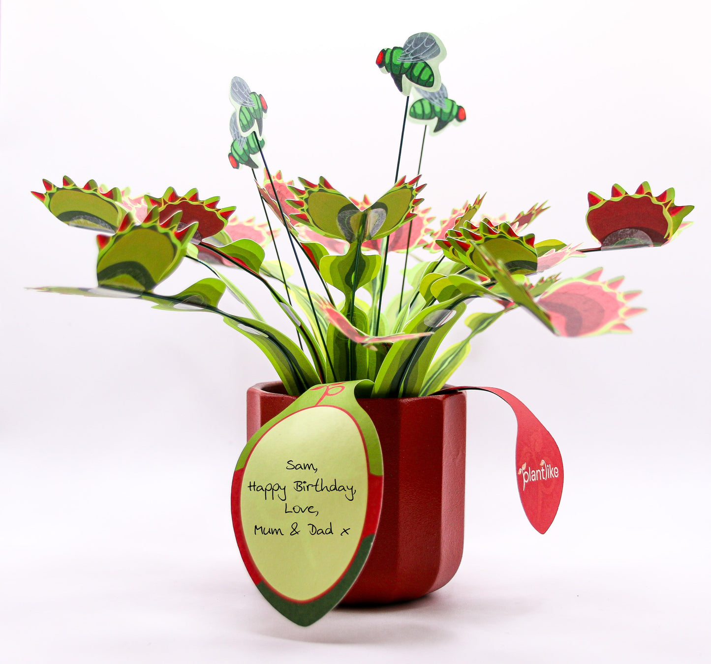 Venus Fly Trap Papercraft Plant Kit