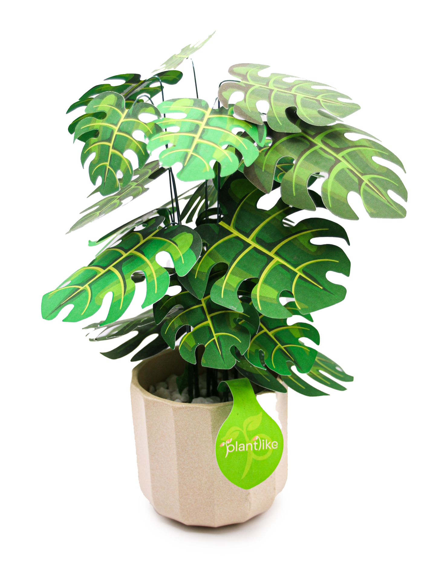 The Cheese Plant Papercraft Plant Kit
