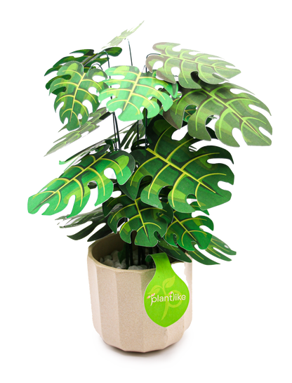 The Cheese Plant Papercraft Plant Kit