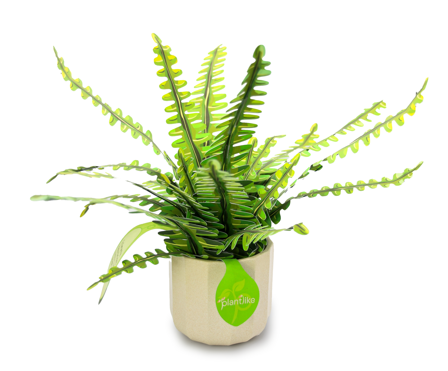 The Boston Fern Papercraft Plant Kit