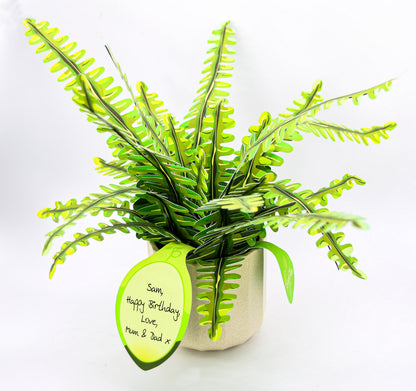 The Boston Fern Papercraft Plant Kit