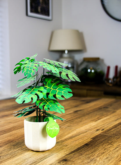 The Cheese Plant Papercraft Plant Kit
