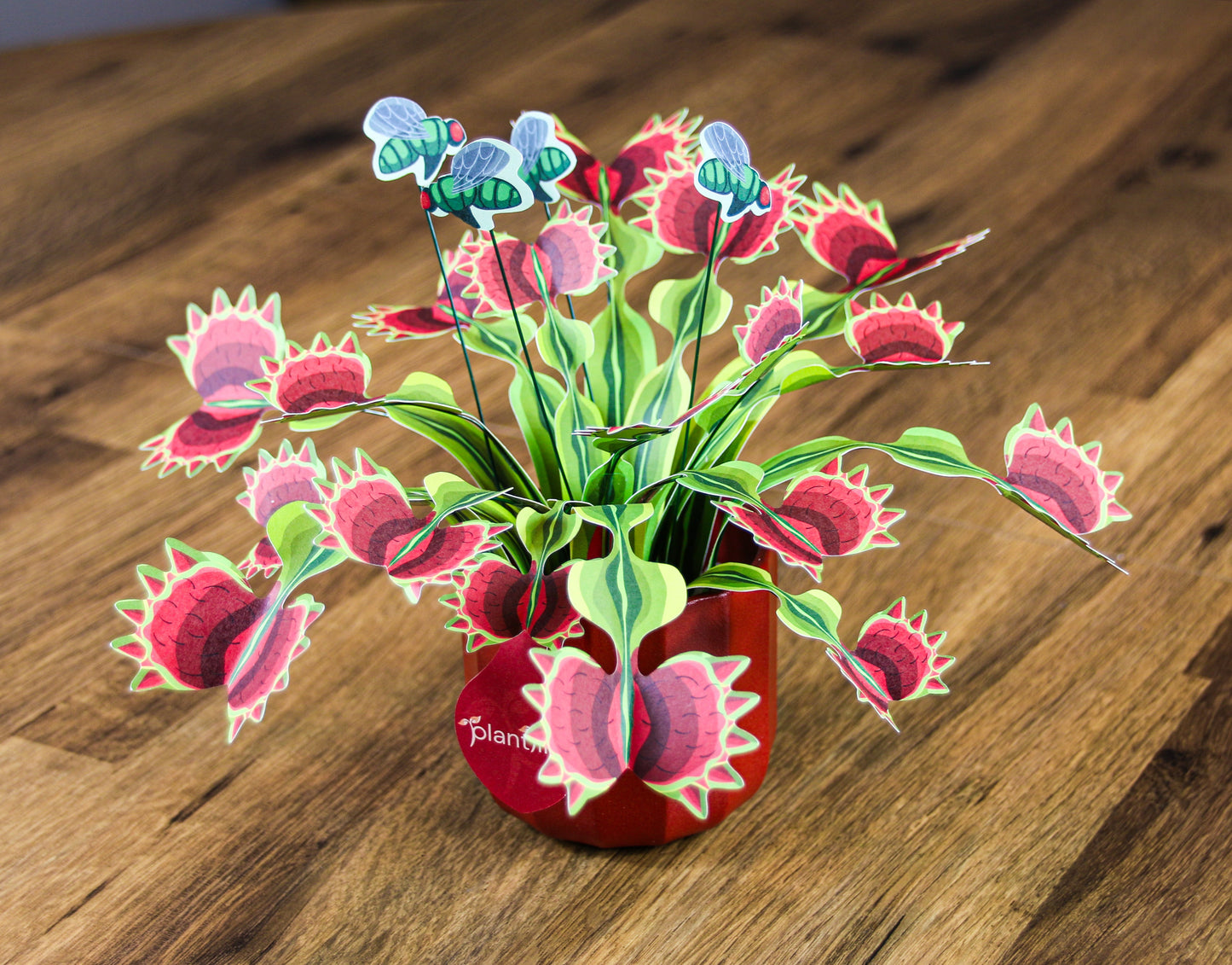 Venus Fly Trap Papercraft Plant Kit