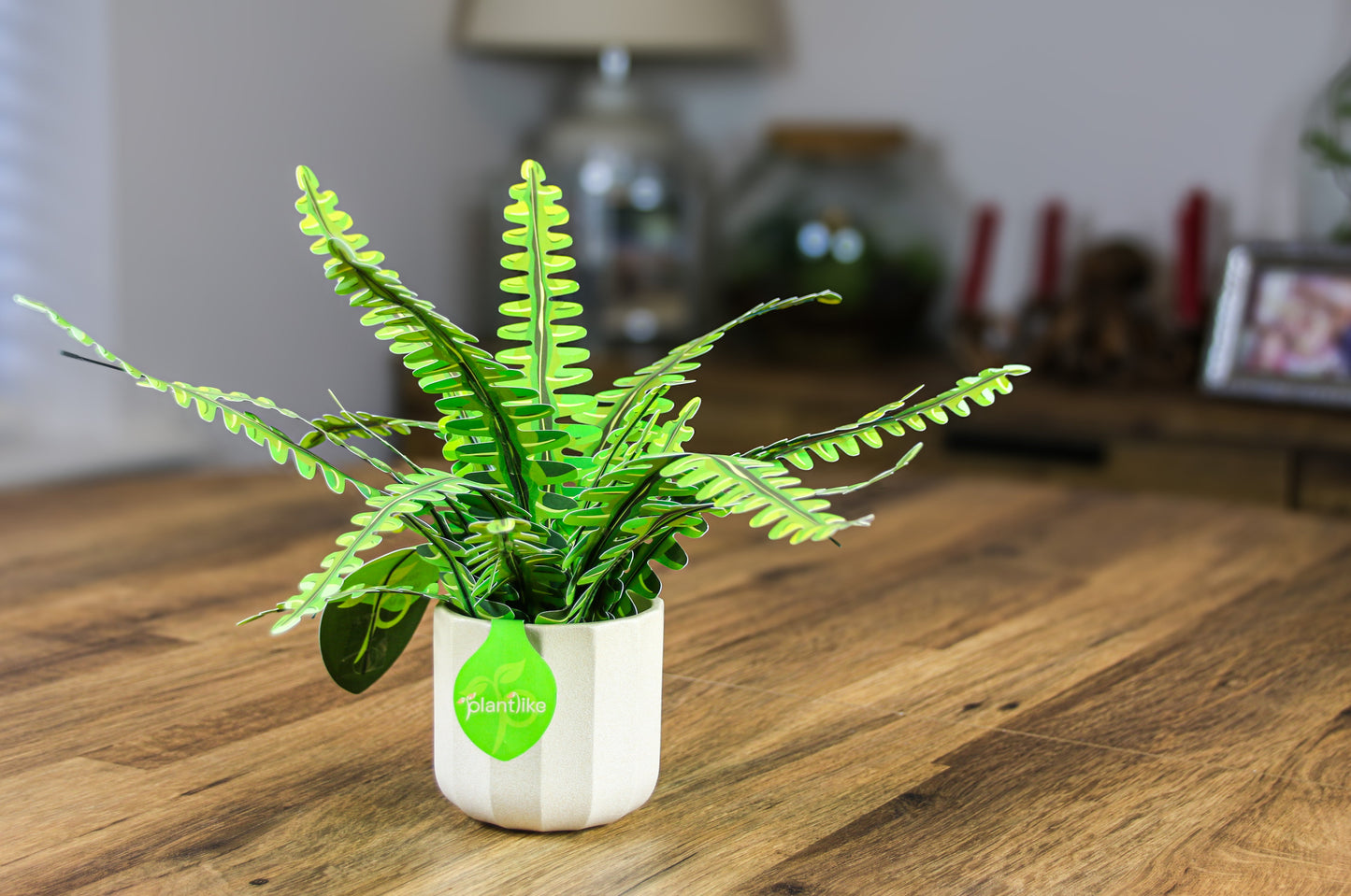 The Boston Fern Papercraft Plant Kit