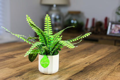 The Boston Fern Papercraft Plant Kit