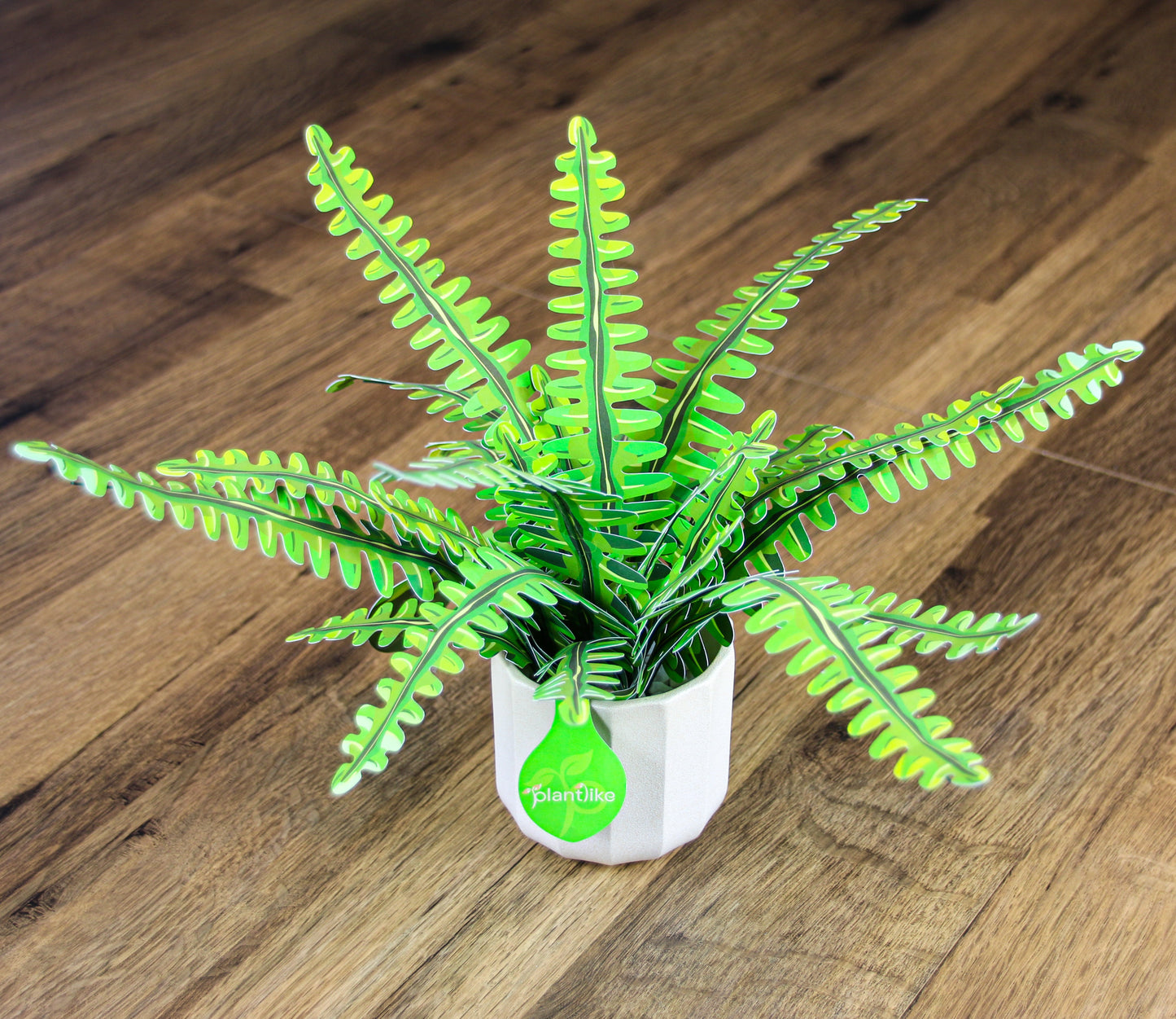 The Boston Fern Papercraft Plant Kit