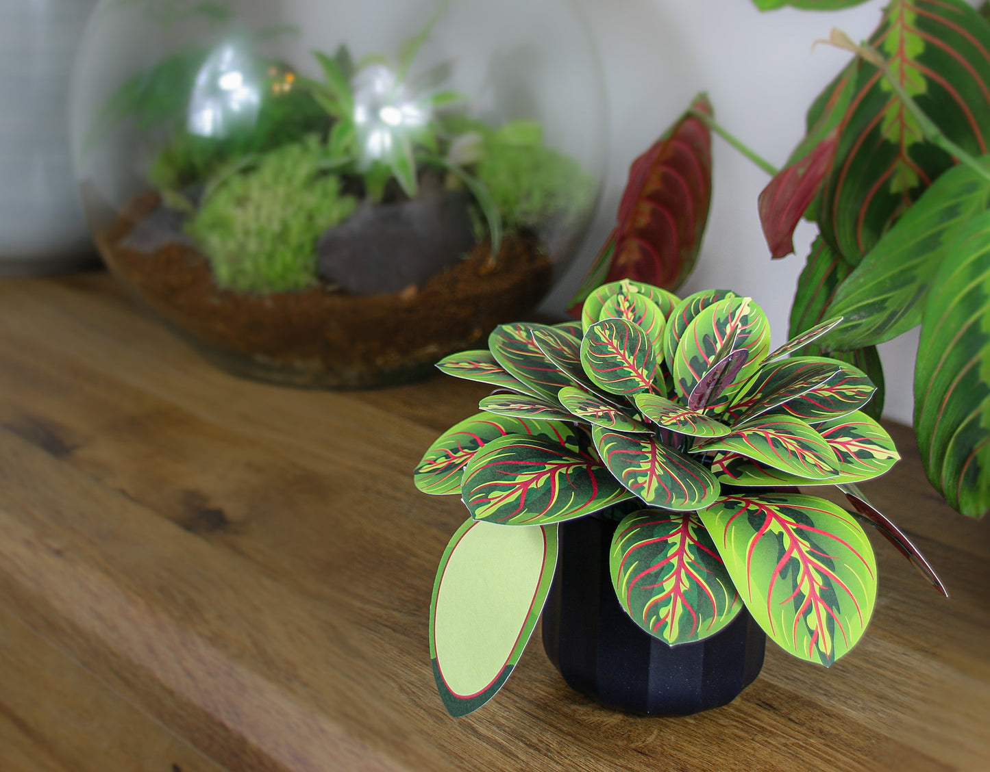 The Prayer Plant Papercraft Plant Kit