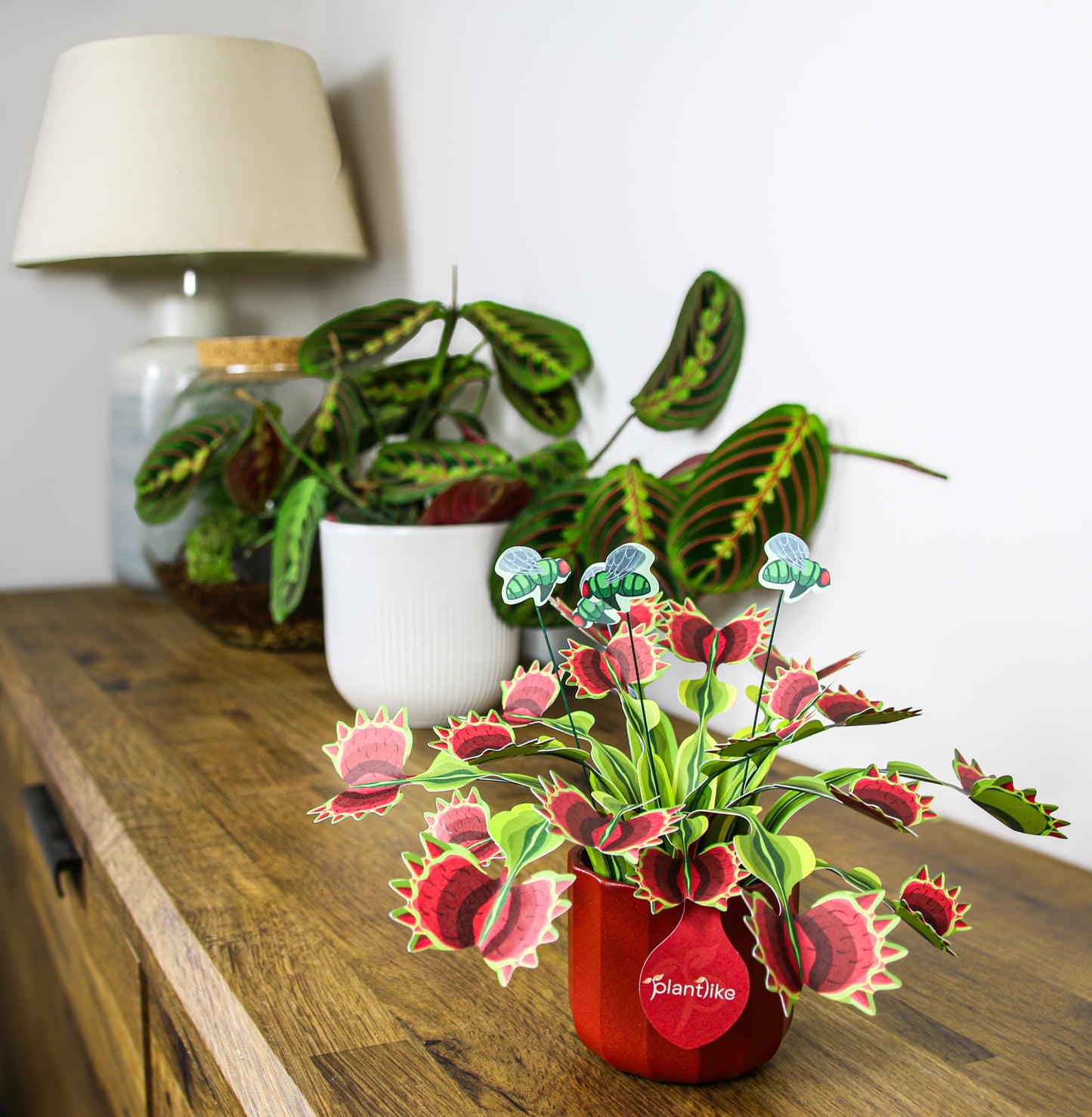 Venus Fly Trap Papercraft Plant Kit