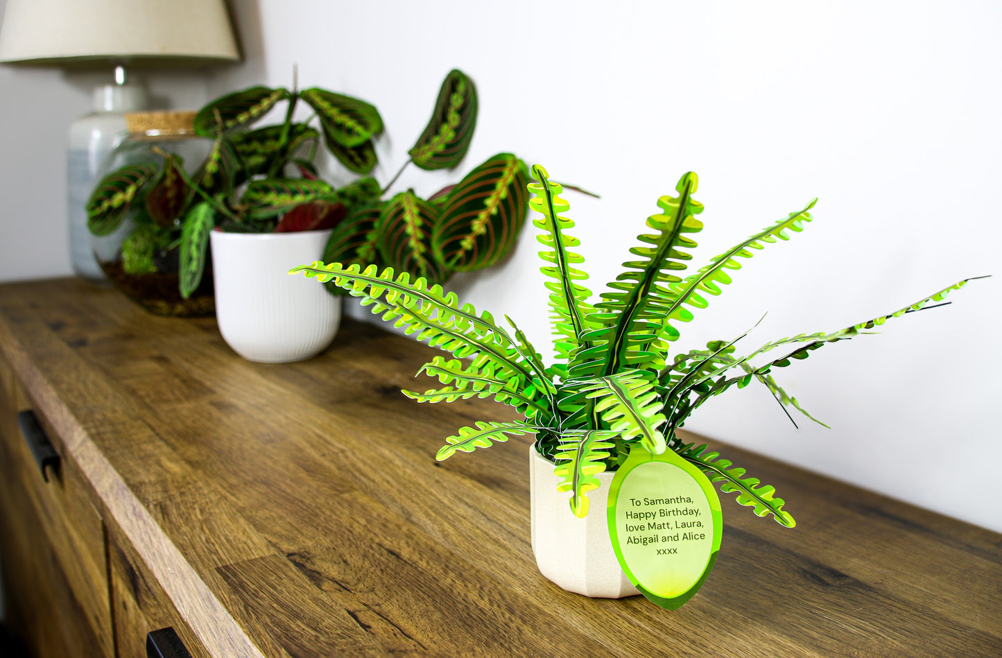 The Boston Fern Papercraft Plant Kit