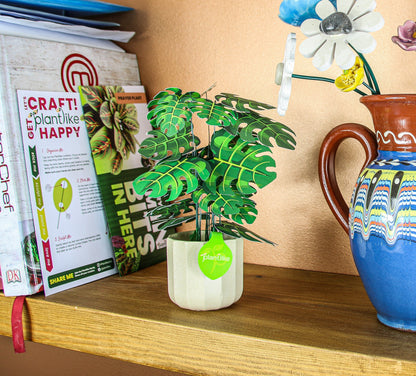The Cheese Plant Papercraft Plant Kit