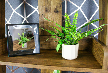 The Boston Fern Papercraft Plant Kit