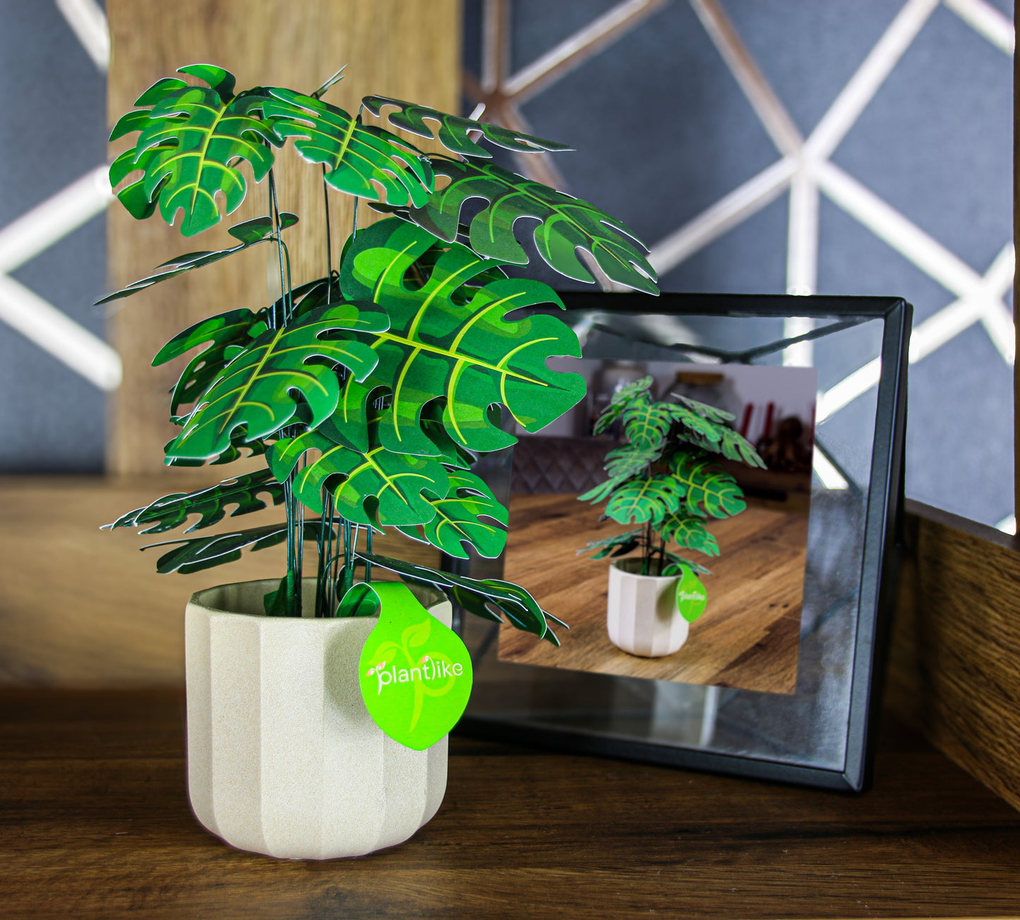 The Cheese Plant Papercraft Plant Kit