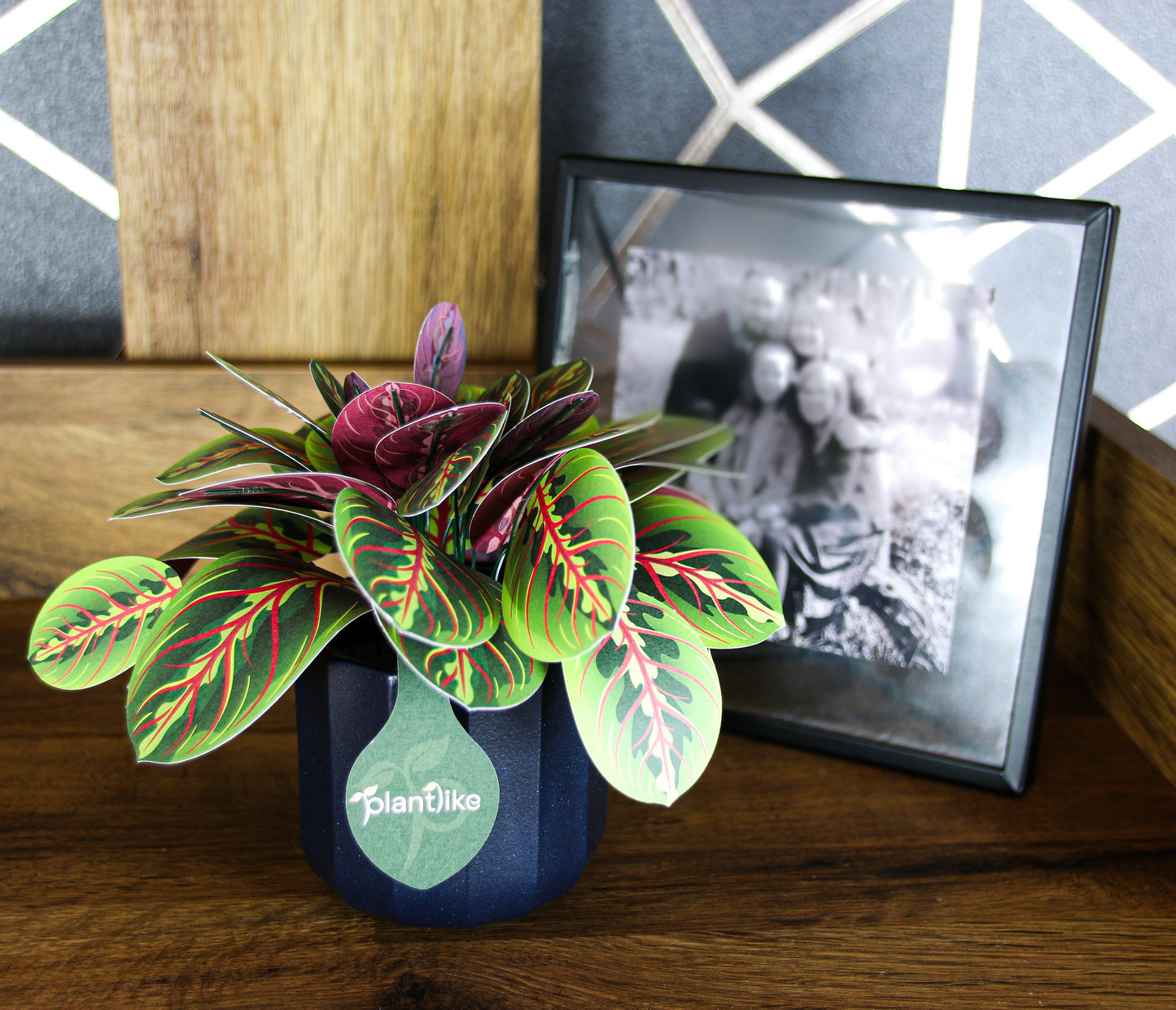 The Prayer Plant Papercraft Plant Kit