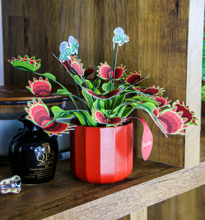 Venus Fly Trap Papercraft Plant Kit