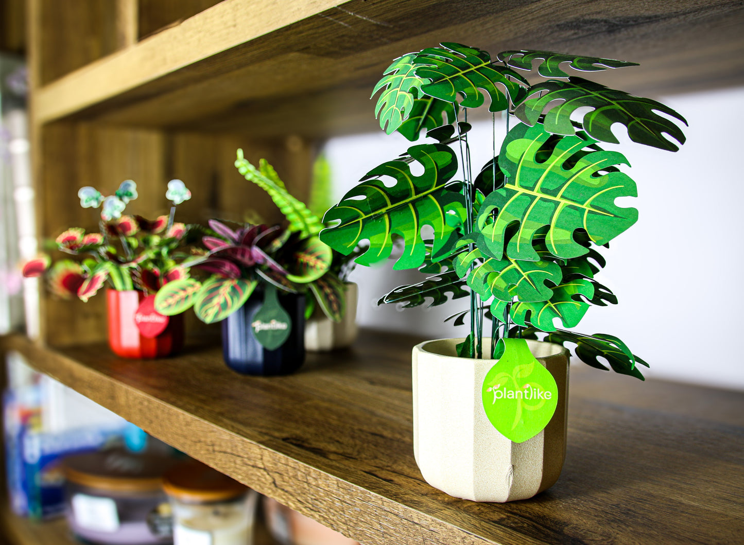 The Cheese Plant Papercraft Plant Kit