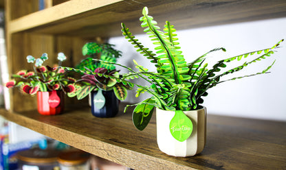 The Boston Fern Papercraft Plant Kit