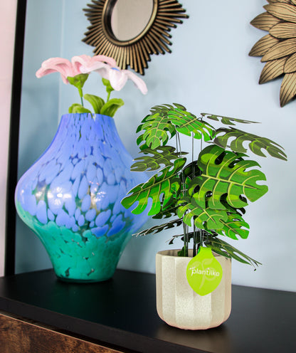 The Cheese Plant Papercraft Plant Kit