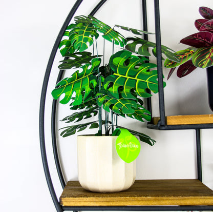 The Cheese Plant Papercraft Plant Kit