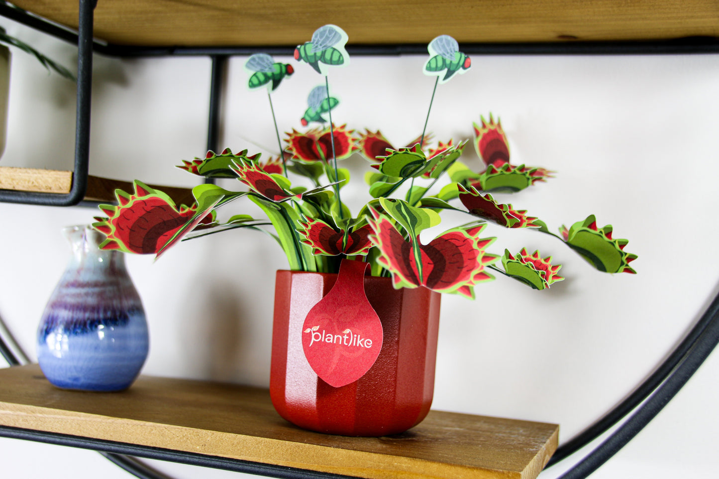 Venus Fly Trap Papercraft Plant Kit