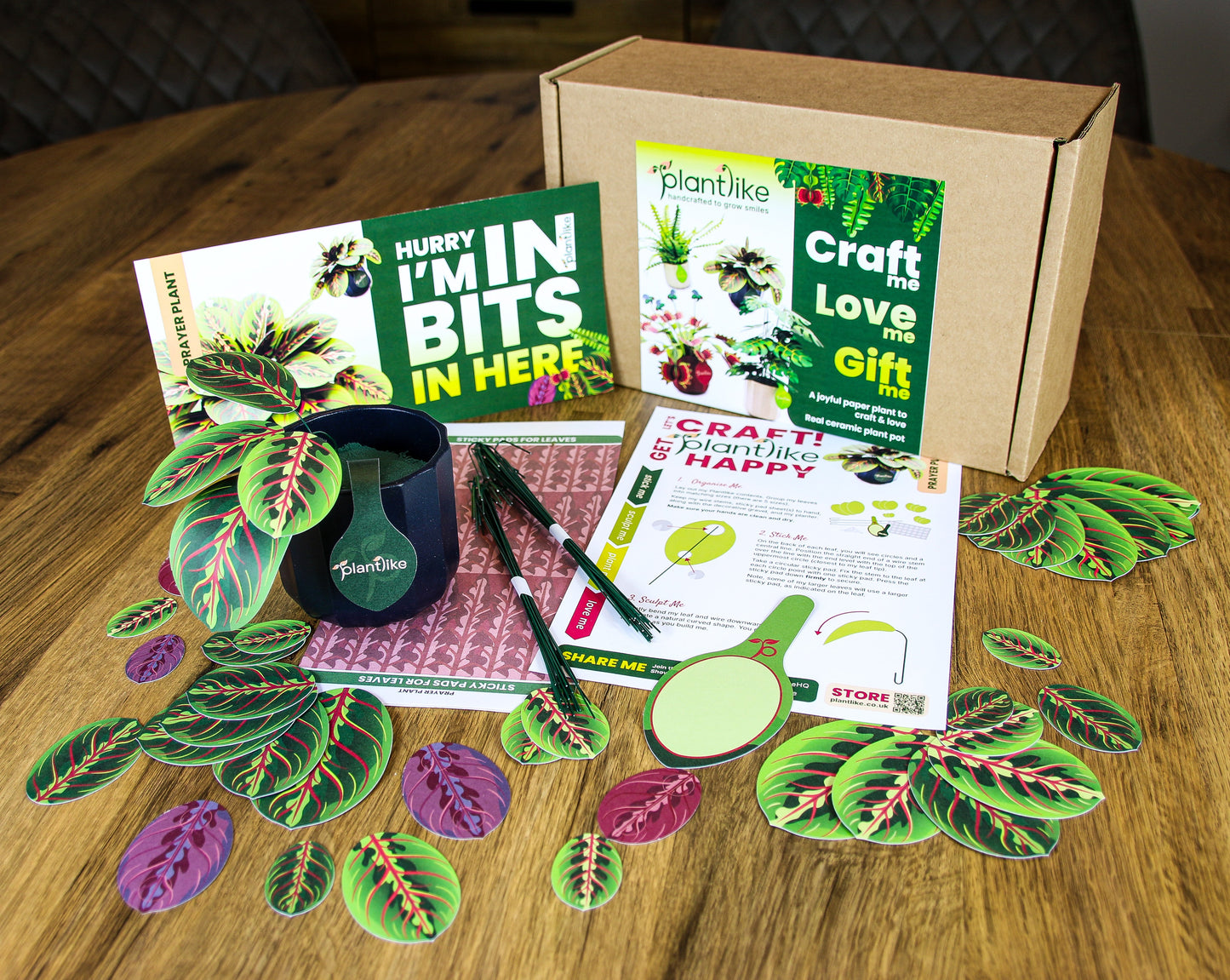 The Prayer Plant Papercraft Plant Kit
