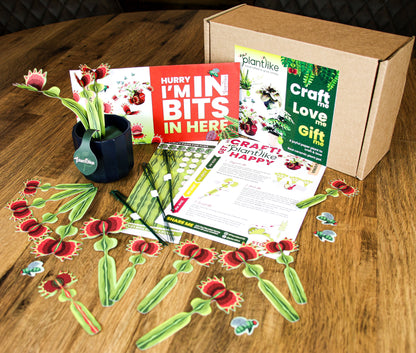 Venus Fly Trap Papercraft Plant Kit