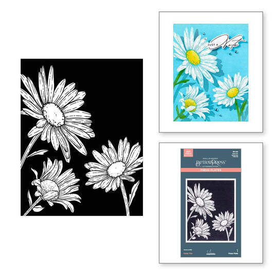 Spellbinders Daisy Trio Press Plates from the Yana's Daisies Collection by Yana Smakula