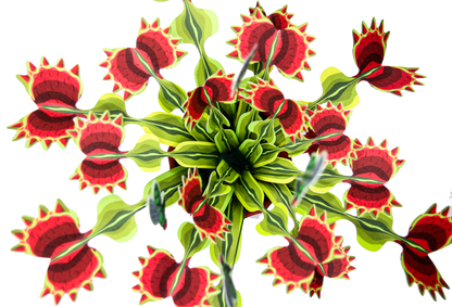 Venus Fly Trap Papercraft Plant Kit