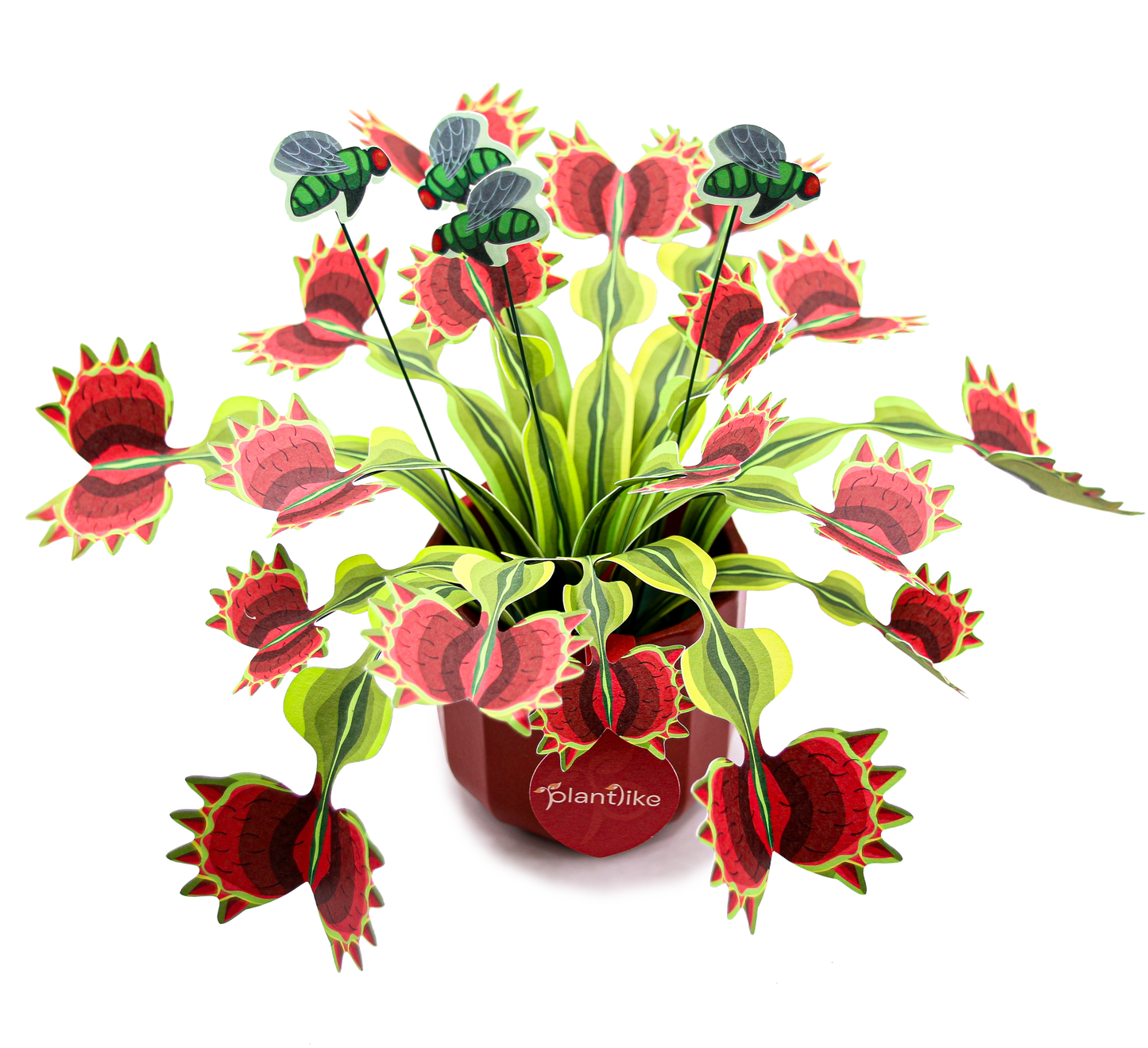 Venus Fly Trap Papercraft Plant Kit